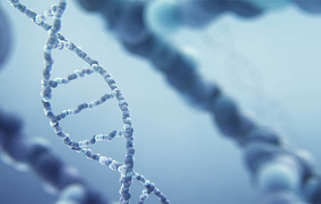 Small-molecule Biotin PEG