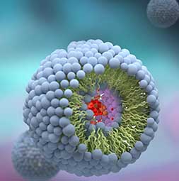 PEGylation of Nanocarriers