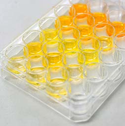 PEGylated Biodegradable Polymers Synthesis