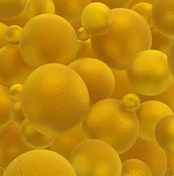 Monodisperse PEG Synthesis