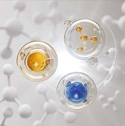 PEGylation Analysis and Method Verification