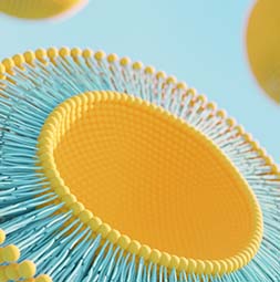 Surface Modification and Functionalization