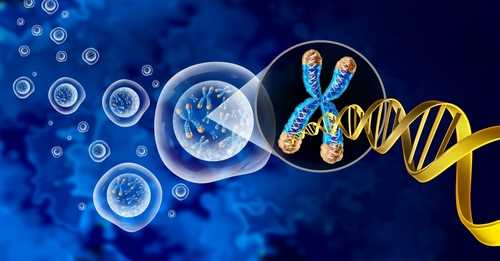 PEGylation of DNA