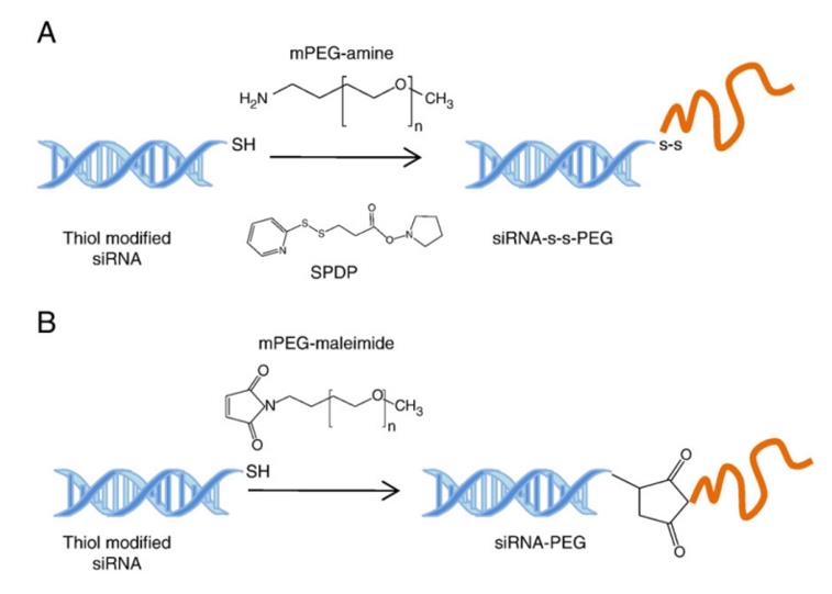 Synthetic schemes of siRNA conjugated with PEG via (A) cleavable linkage and (B) noncleavable linkage.