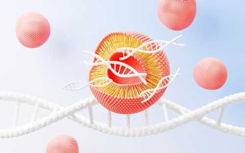 PEGylation of Oligonucleotides