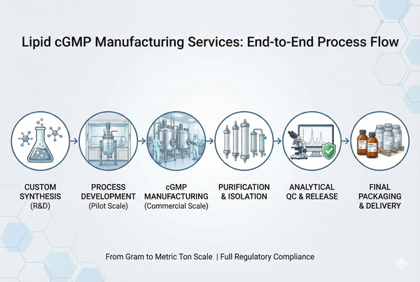 Diagram of scalable lipid cGMP manufacturing workflow.