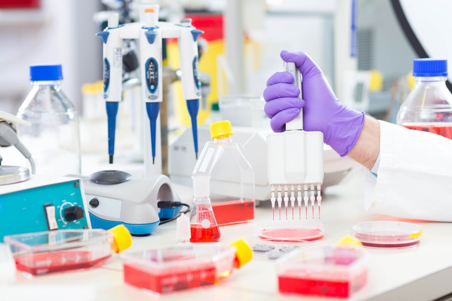 Comprehensive Service Advantages of BOC Sciences