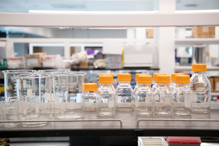 Top Benefits of Our Lipid-Peptide Conjugation Services