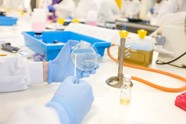 PEGylated Nanoparticles for Drug Delivery: Design Factors and Material Selection