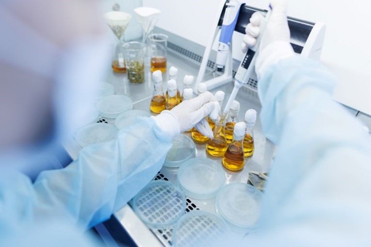 fluorescent reagents