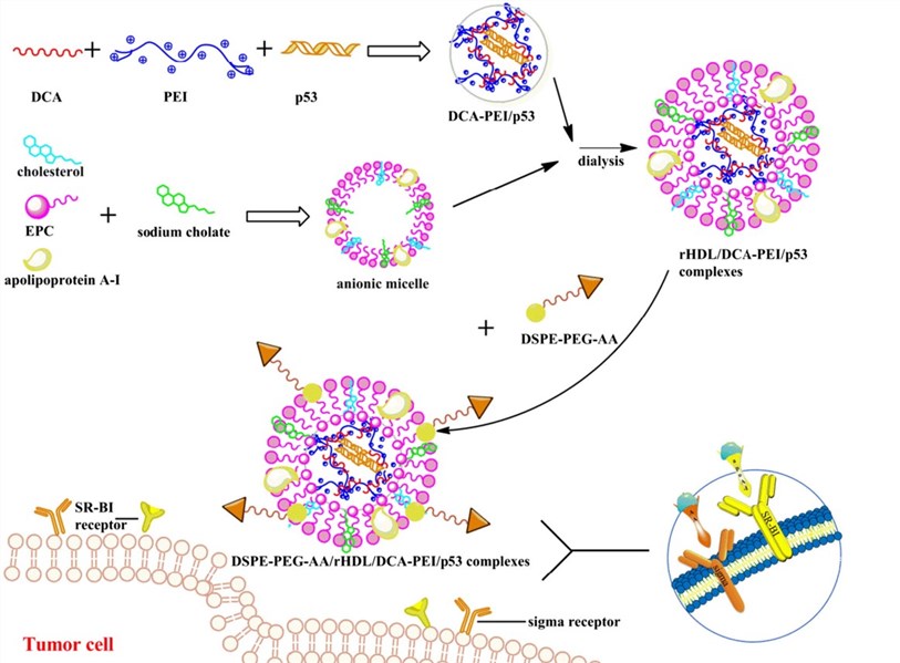 Research applications of DSPE-PEG