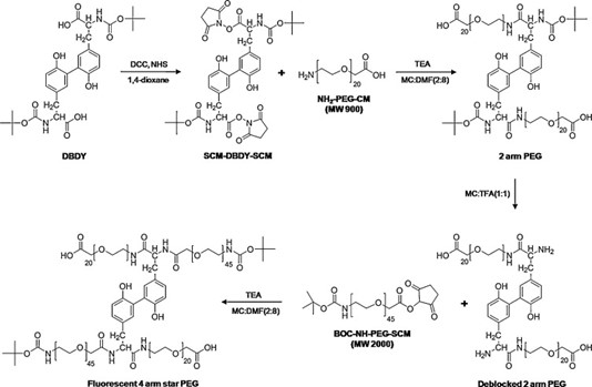 Synthesis of a 4-arm star-shaped PEG