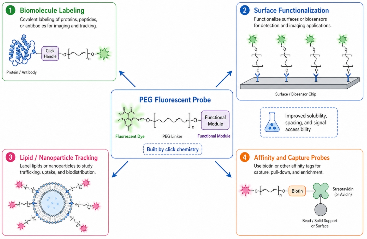PEG fluorescent probe applications
