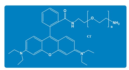 Rhodamine PEG