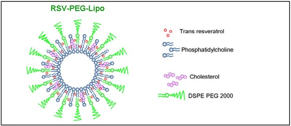 DSPE PEG 2000 based lipid nanoparticles