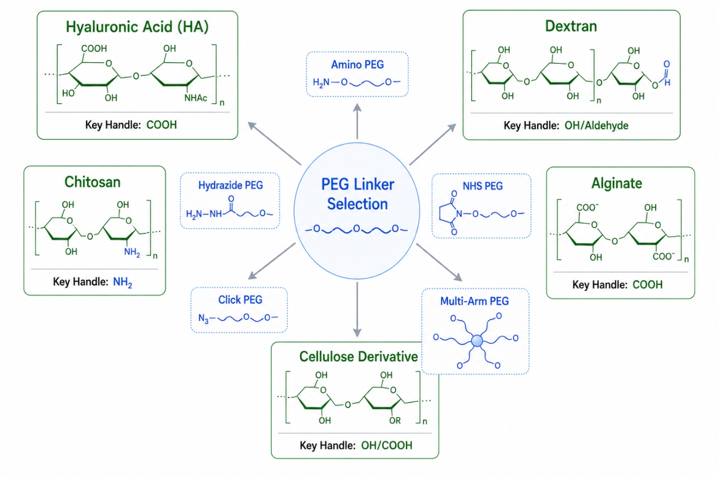 PEG linker selection by polysaccharide type