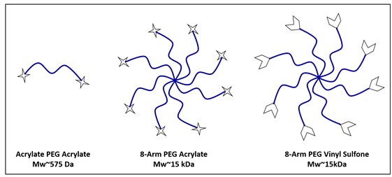 Structures of different PEG derivatives