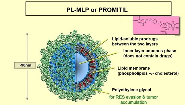 Functional peptide-PEG-lipids