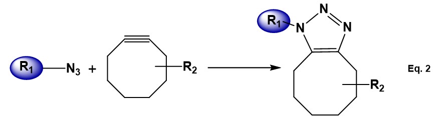 Strain-promoted Azide-Alkyne Click Chemistry (SPAAC)