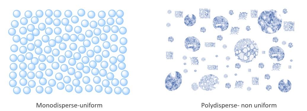 Monodispersed and polydispersed polymers