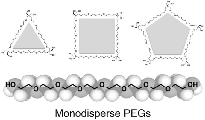 Monodisperse PEG for biorelevant applications