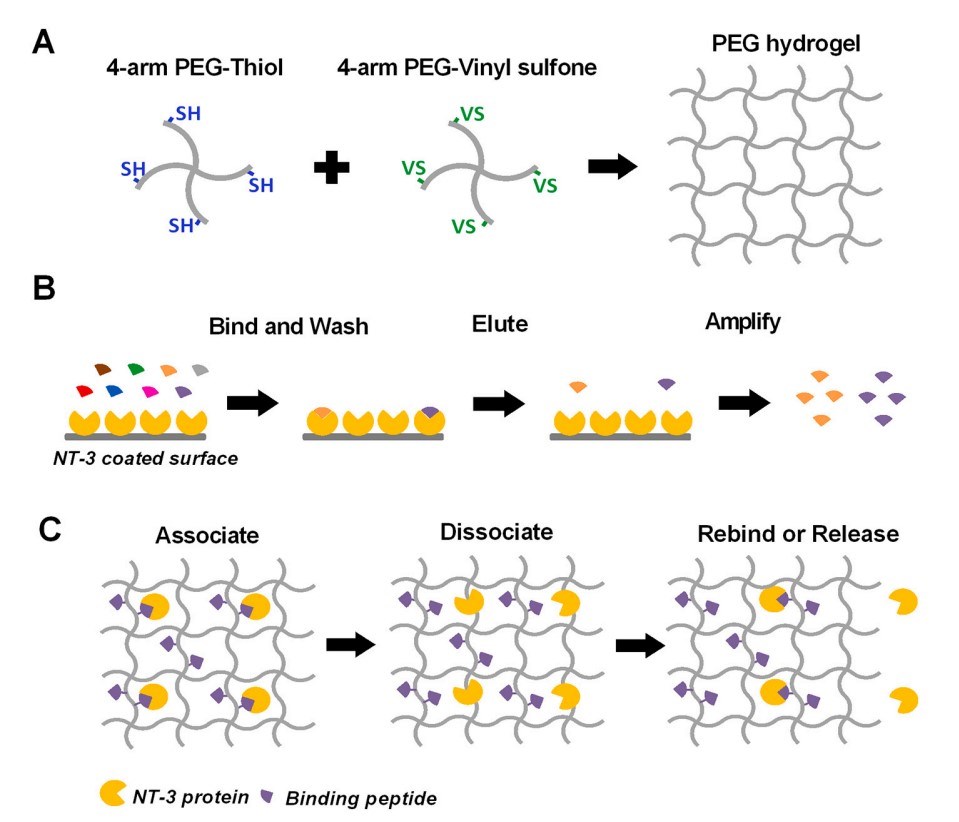 Research applications of PEG hydrogels in medical devices