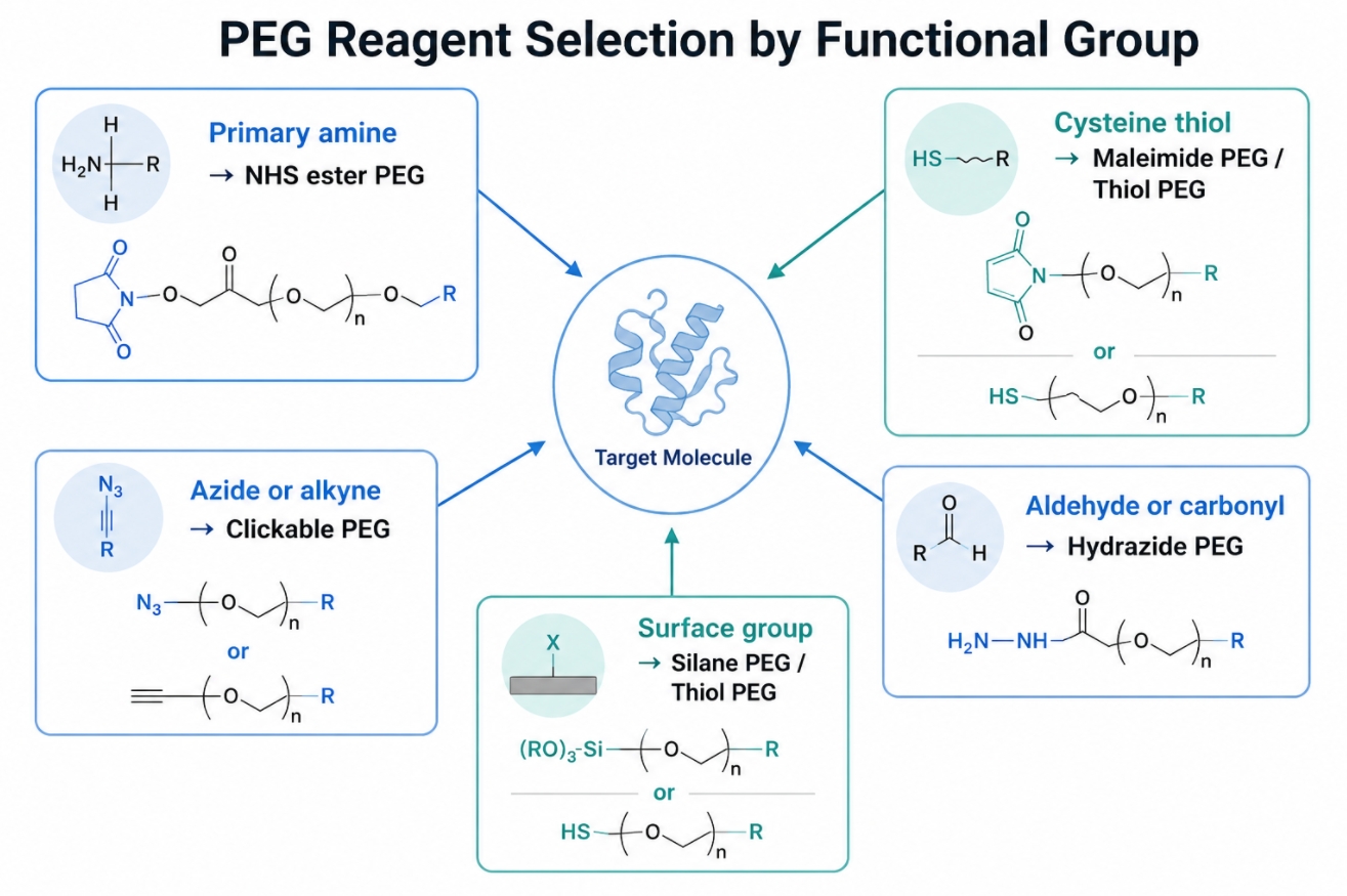 PEG functional group selection