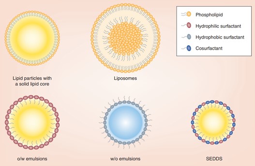 Structure and classification of lipids