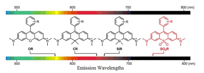 Emission wavelength of rhodamines