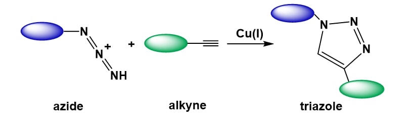 Schematic of click chemistry.