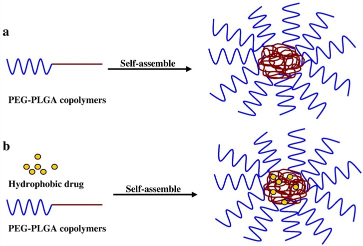 Self-assembled micelles of PEG-PLGA copolymers