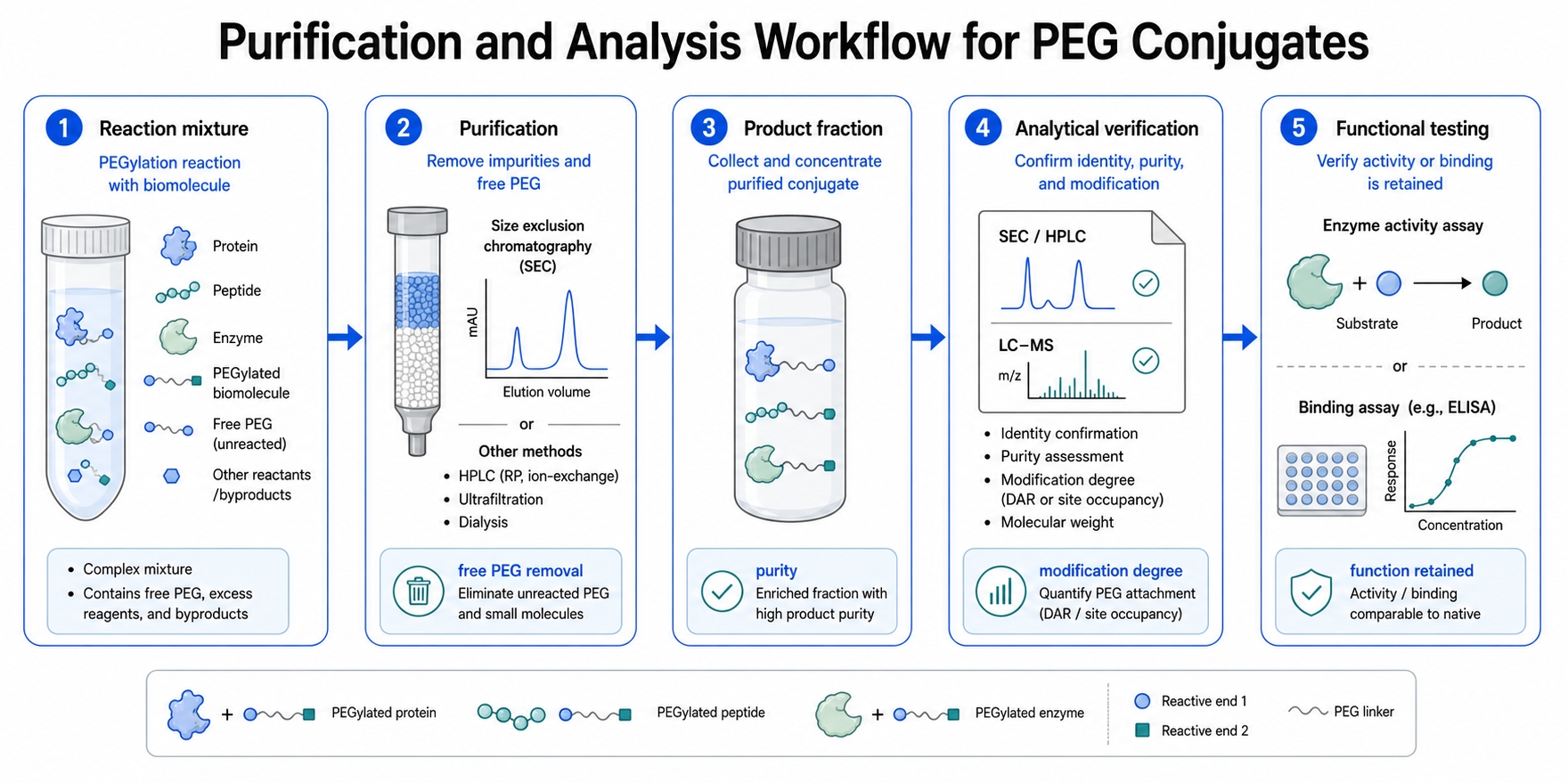 PEGylated biomolecule analysis workflow