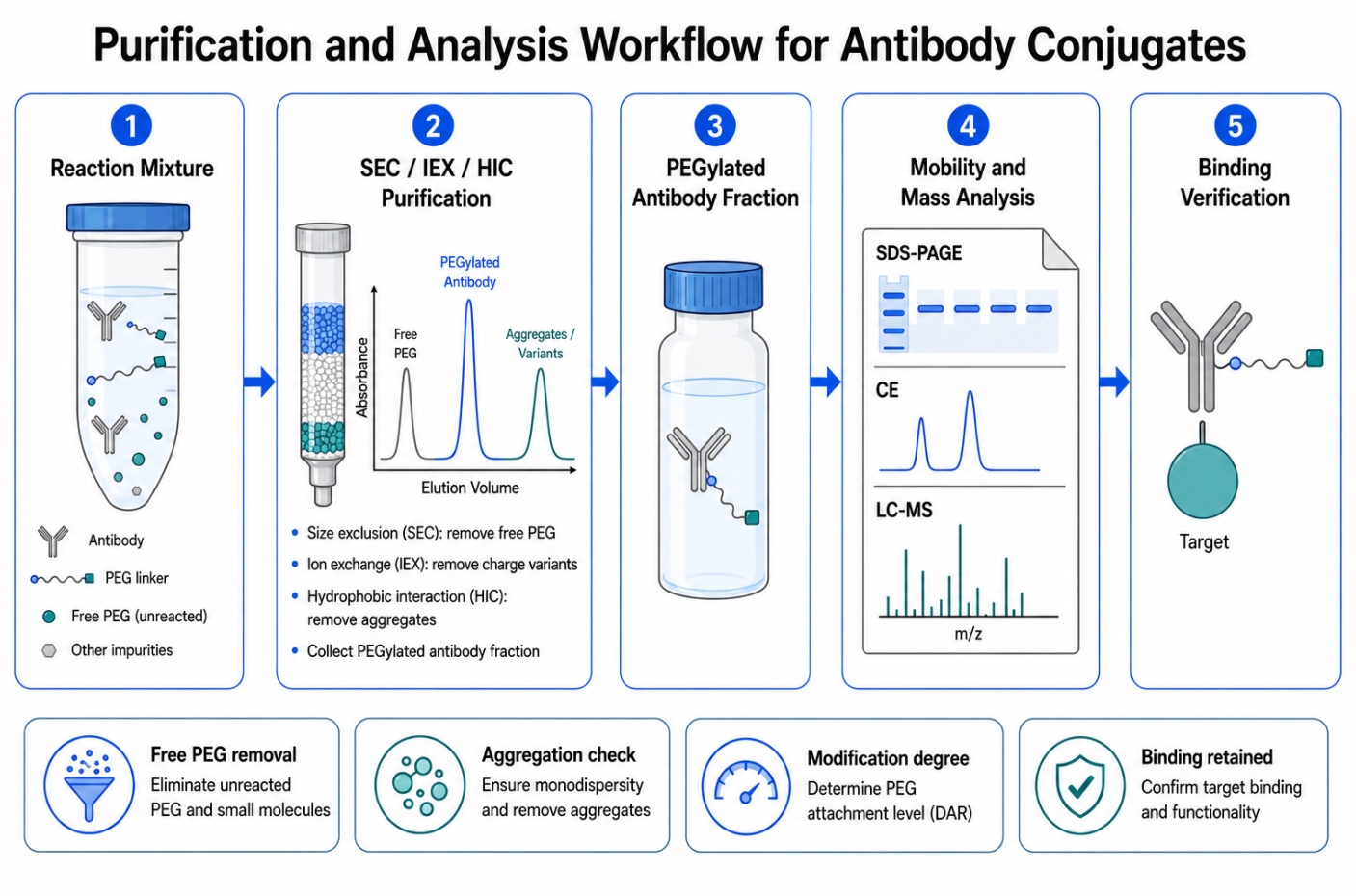 PEGylated antibody analysis workflow