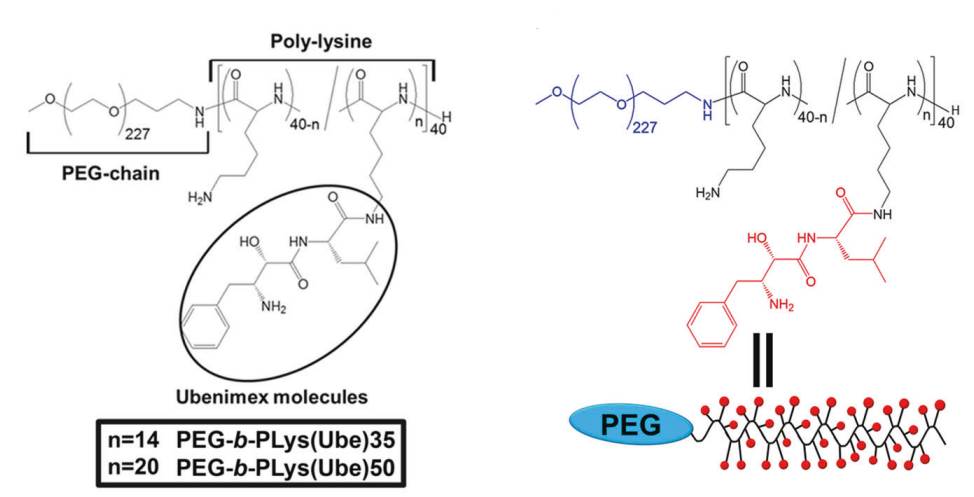 PEG-b-PLys(Ube)s as a type of modified ubenimex