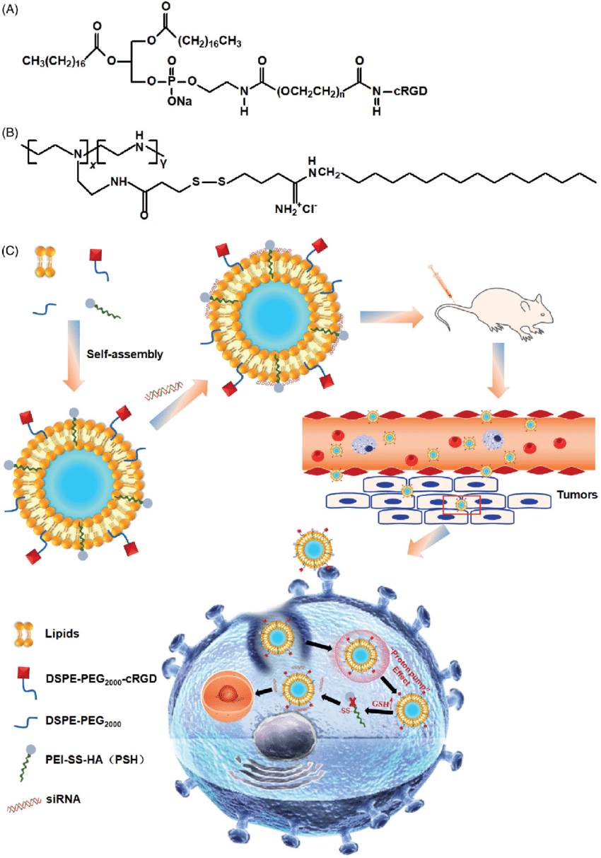 Application of DSPE-PEG-cRGD in cancer cell transmission