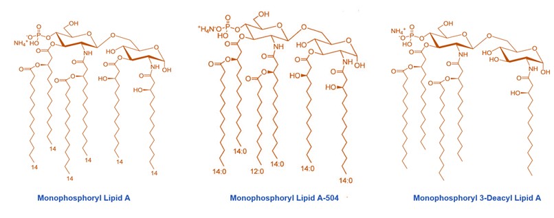 Adjuvants based on monophosphoryl lipid A