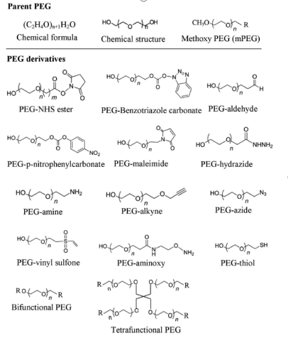 Chemical-structures-of-PEG-and-key-PEG-derivatives