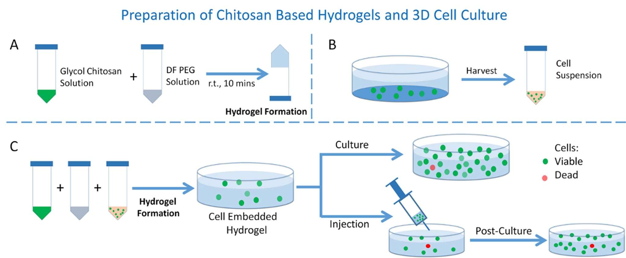 Example of hydrogel preparation