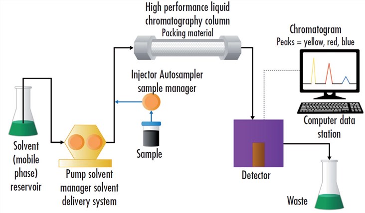 Schematic diagram of high-performance liquid chromatography (HPLC)