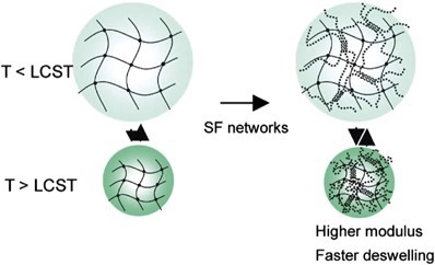 Hydrogel network structure