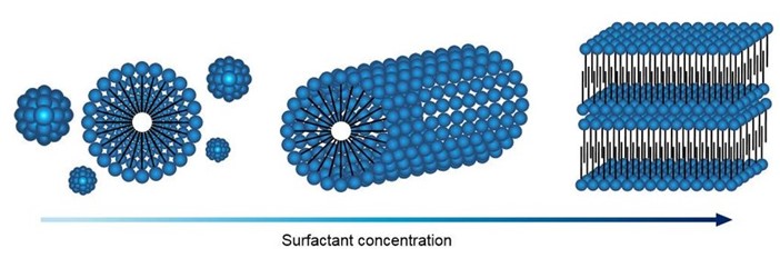 Micellar structure evolution process