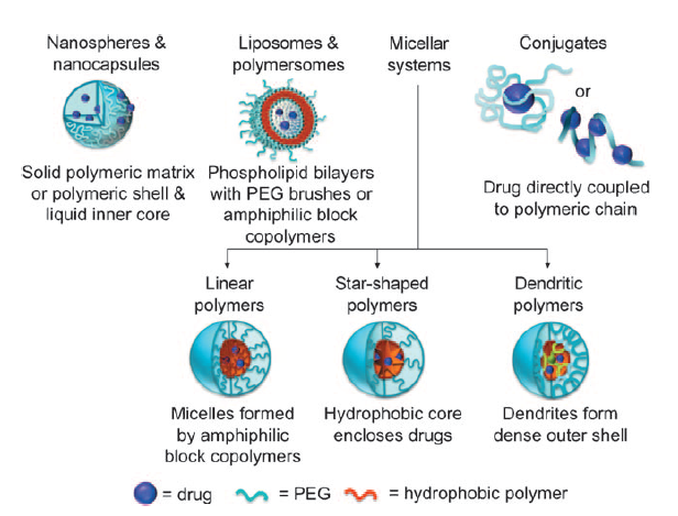 Overview-of-PEGylated-carrier-system-for-drug-delivery