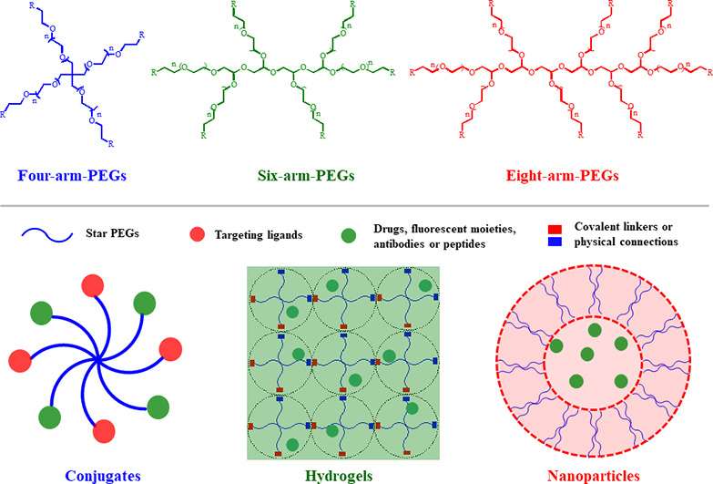 Structure of PEG and its application in drug delivery