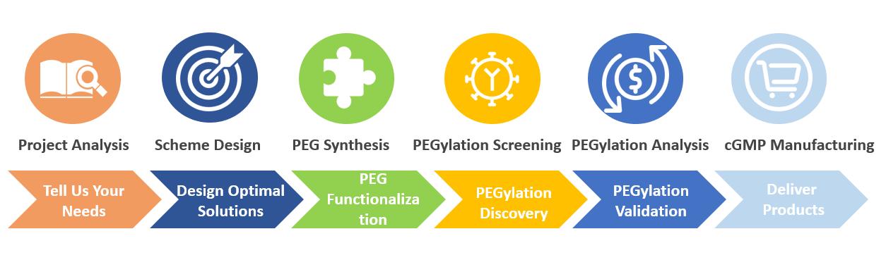 Our PEG Solution Service Workflow