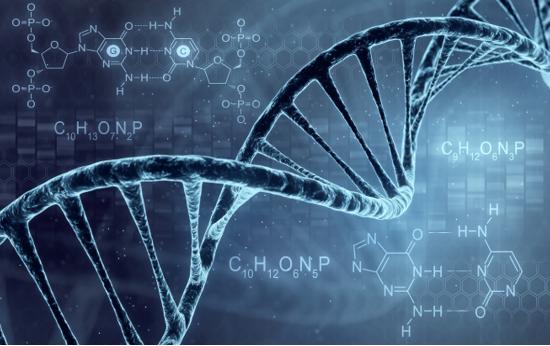 Application of PEG in Gene Delivery