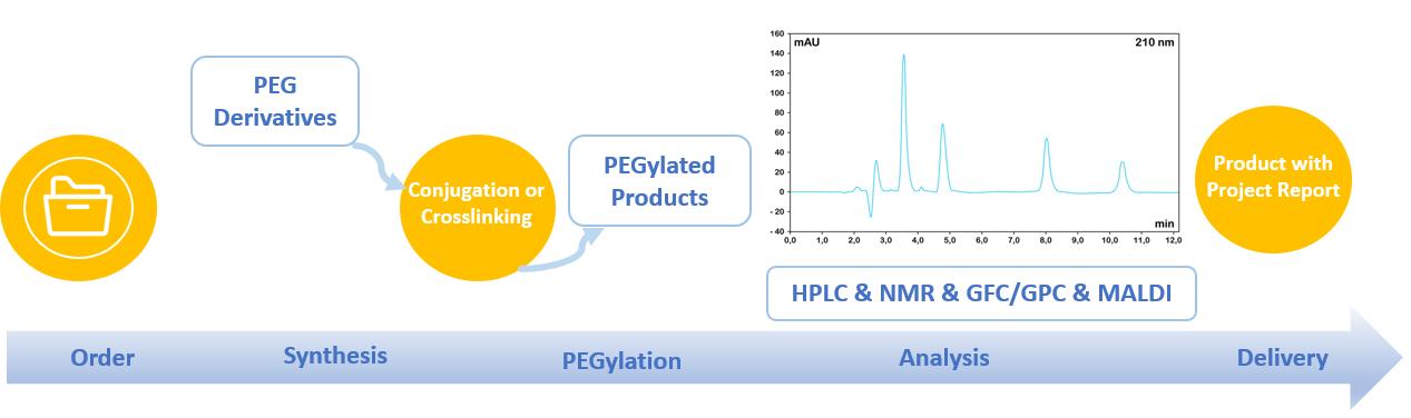 Our PEG Solution Service Workflow