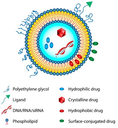 PPEG and Pharmaceutical Preparation Solutions