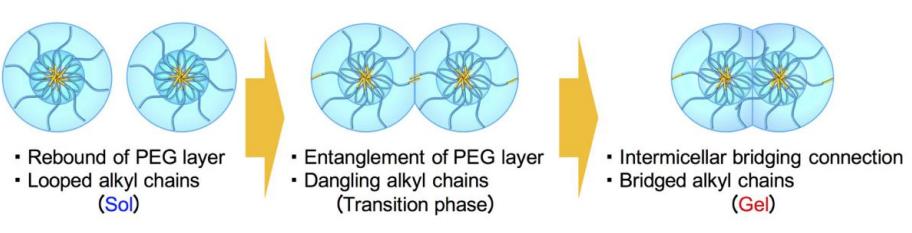 Fig. 1. Schematic of proposed mechanism for sol-gel transition