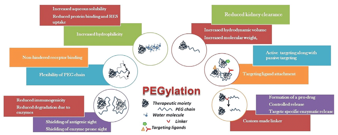 PEGylation services