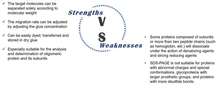 Strengths and Weaknesses of Radiolabeling